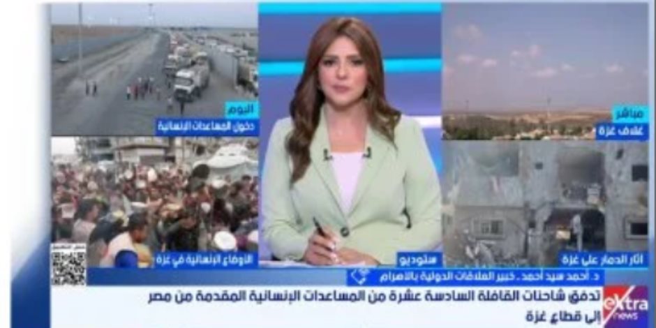 خبير دولي: مصر أحبطت مخطط تصفية القضية الفلسطينية باستراتيجية متكاملة خبير دولي: مصر أحبطت مخطط تصفية القضية الفلسطينية باستراتيجية متكاملة