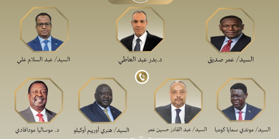 وزير الخارجية يُجري اتصالات مع عدد من نظرائه في الدول الأفريقية لتعزيز التعاون الثنائي والإقليمي