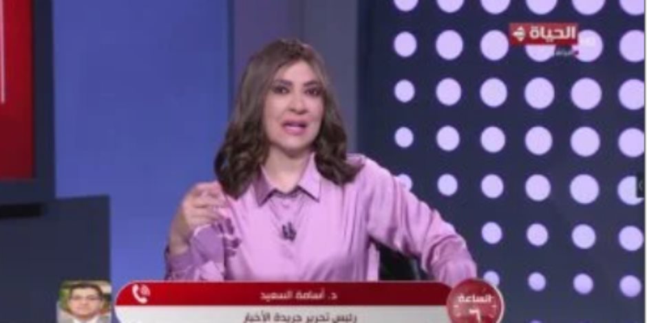 أسامة السعيد: رؤية مصر والإمارات هامة للغاية من أجل تحقيق السلام الإقليمى أسامة السعيد: رؤية مصر والإمارات هامة للغاية من أجل تحقيق السلام الإقليمى