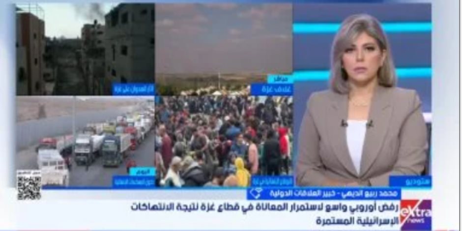 خبير: جهود مصر نجحت في تحويل الموقف الأوروبي تدريجيا لصالح القضية الفلسطينية خبير: جهود مصر نجحت في تحويل الموقف الأوروبي تدريجيا لصالح القضية الفلسطينية