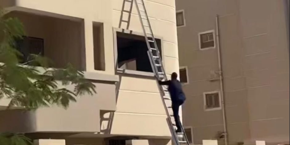 الأمن ينقذ قطة محتجزة بأحد العقارات في المنيا الجديدة الأمن ينقذ قطة محتجزة بأحد العقارات في المنيا الجديدة