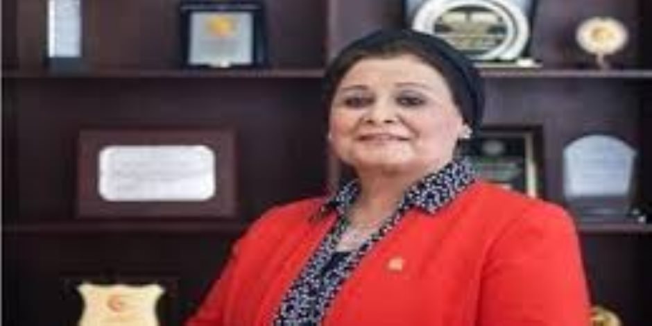 نائب وزير الصحة: مسح الأسرة المصرية يهدف لتقديم صورة شاملة نائب وزير الصحة: مسح الأسرة المصرية يهدف لتقديم صورة شاملة