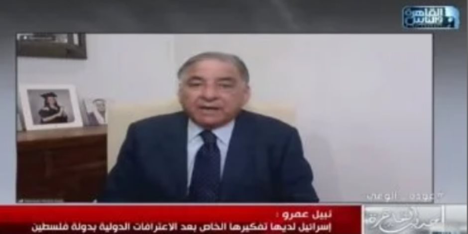 وزير فلسطينى سابق: الاعتراف بدولتنا انتصار كبير والقضية تمس أمن العرب