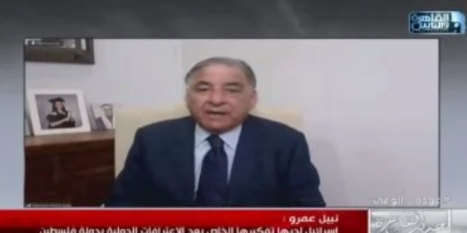 وزير فلسطينى سابق: الاعتراف بدولتنا انتصار كبير والقضية تمس أمن العرب