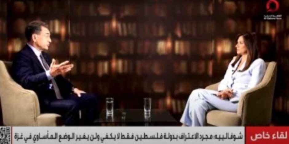 السفير الفرنسي لدى مصر: الاعتراف بدولة فلسطين فقط لا يكفي ولن يغير الوضع المأساوي في غزة