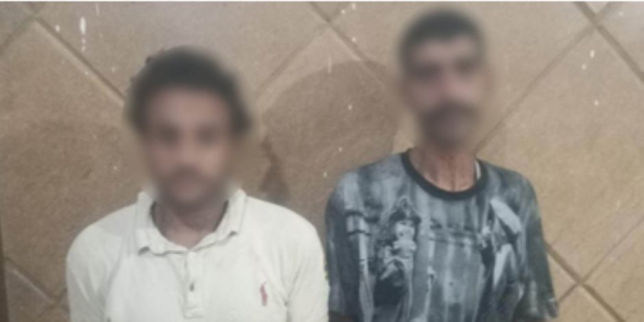 "الداخلية" تضبط المتهمين بفيديو سرقة هاتف سيدة في الجيزة