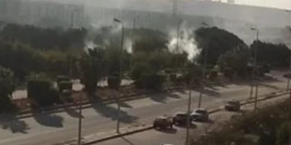 وزارة البيئة: عقوبات رادعة تصل إلى مليون جنيه لحرق المخلفات