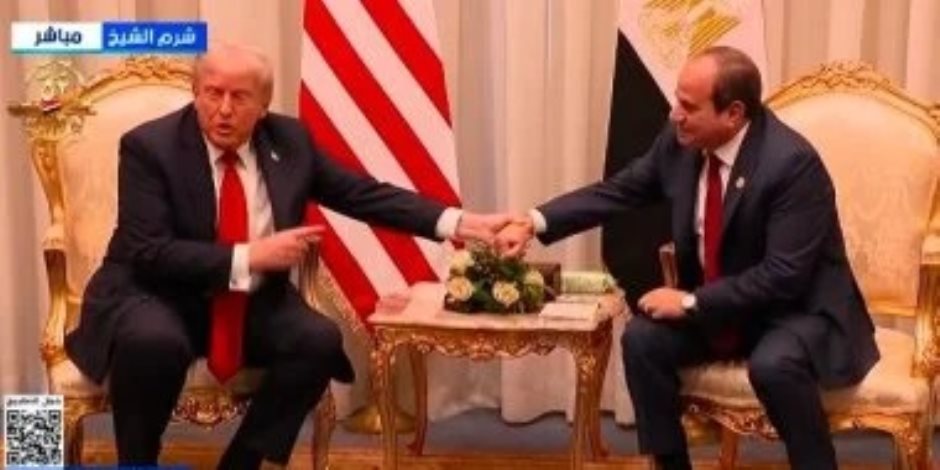 الرئيس السيسى لـ ترامب: نريد استكمال وقف إطلاق النار فى غزة