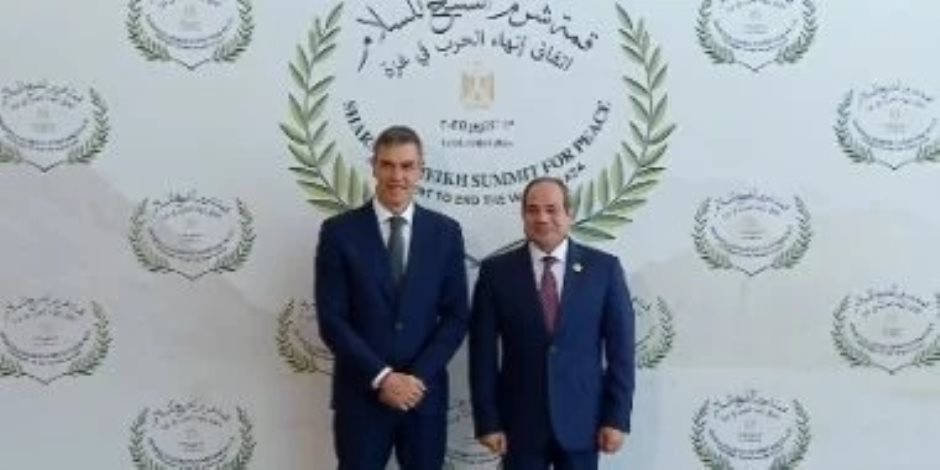 خارجية النواب: مصر الرقم الأصعب في معادلة الأمن والسلام بالشرق الأوسط