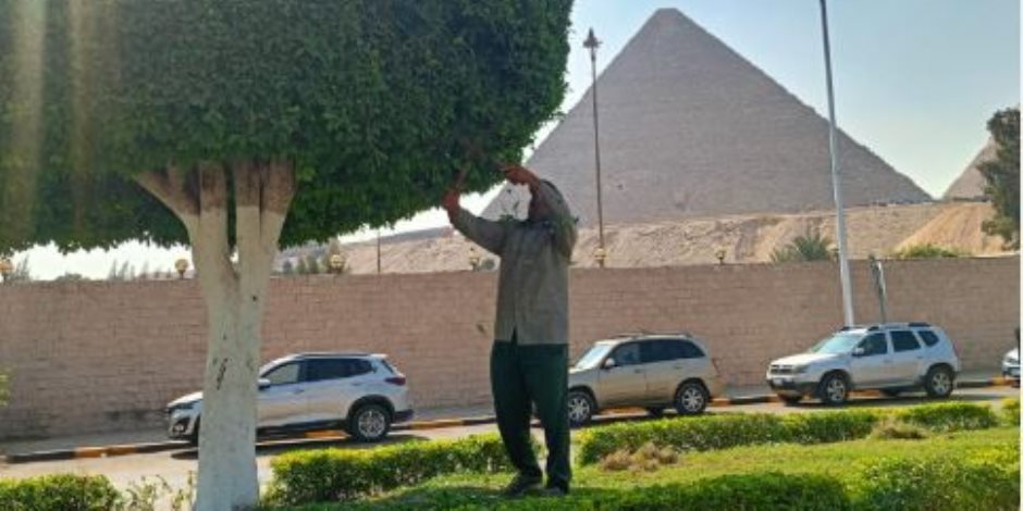 محافظ الجيزة: صيانة شاملة للمسطحات الخضراء بمحيط المتحف المصرى الكبير محافظ الجيزة: صيانة شاملة للمسطحات الخضراء بمحيط المتحف المصرى الكبير