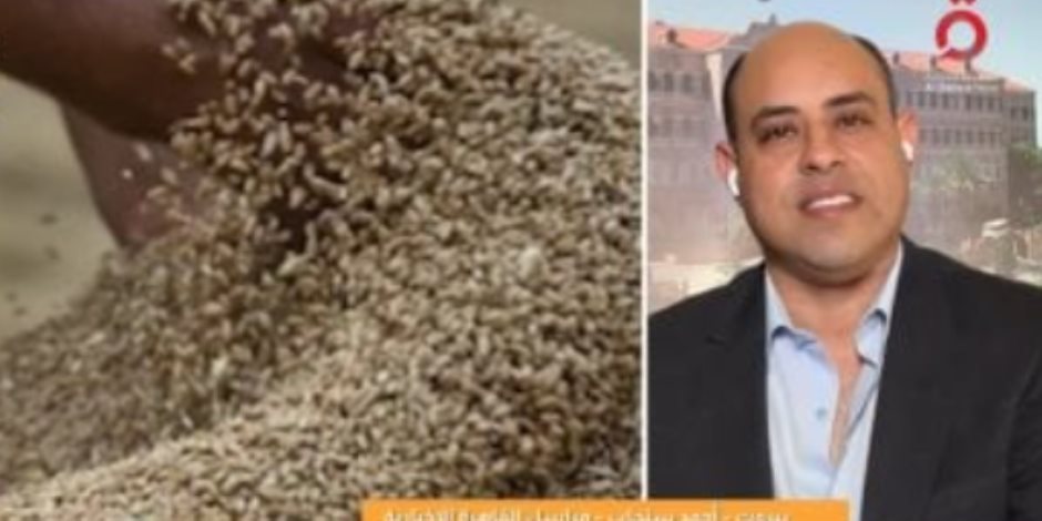 مراسل «القاهرة الإخبارية»: لبنان ينتج 20% فقط من القمح وتستورد الباقي