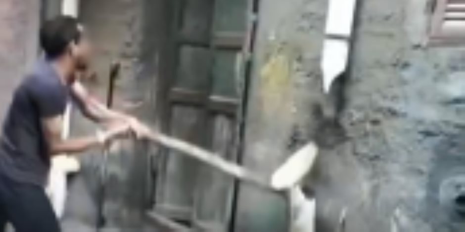 أمن دمياط يضبط عاطل أتلف ماسورة مياه الخاصة بمنزل  أمن دمياط يضبط عاطل أتلف ماسورة مياه الخاصة بمنزل