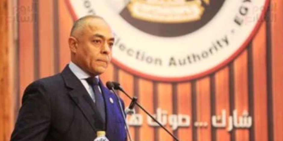 المستشار أحمد بندارى: العملية الانتخابية بالخارج سارت بانضباط وكفاءة