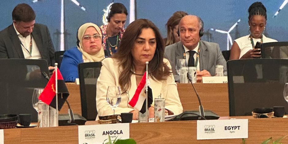 وزيرة التنمية المحلية تشارك في حوار المائدة المستديرة حول "التحول في مجال الطاقة"