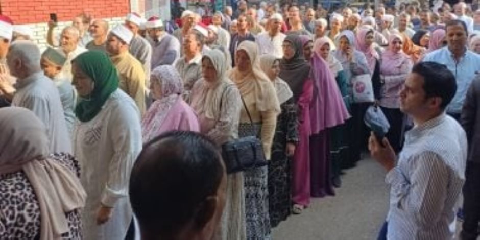 كيفية الاستعلام عن لجنة الانتخابات بالرقم القومى