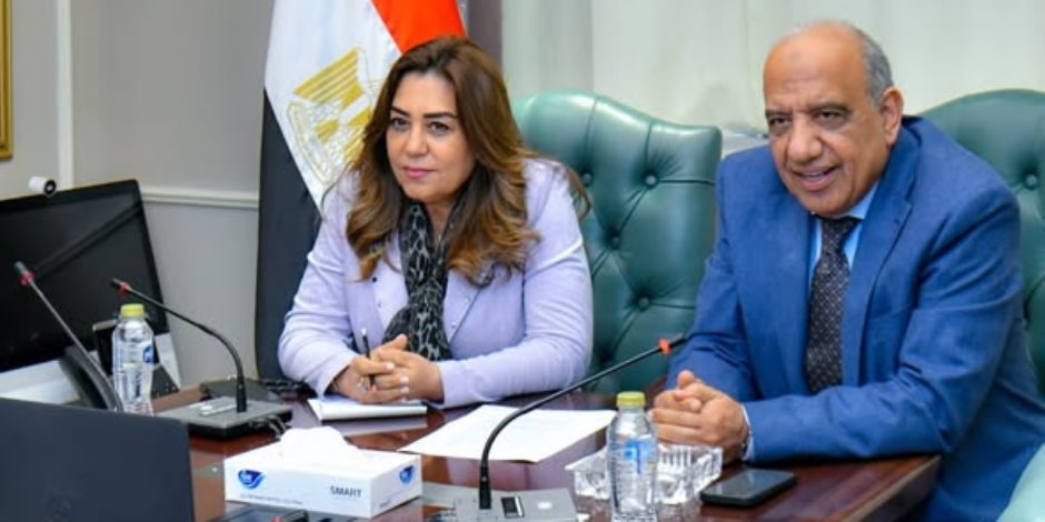 وزيرا الكهرباء والتنمية المحلية يبحثان التنسيق والعمل المشترك والتعاون في قضايا البيئة