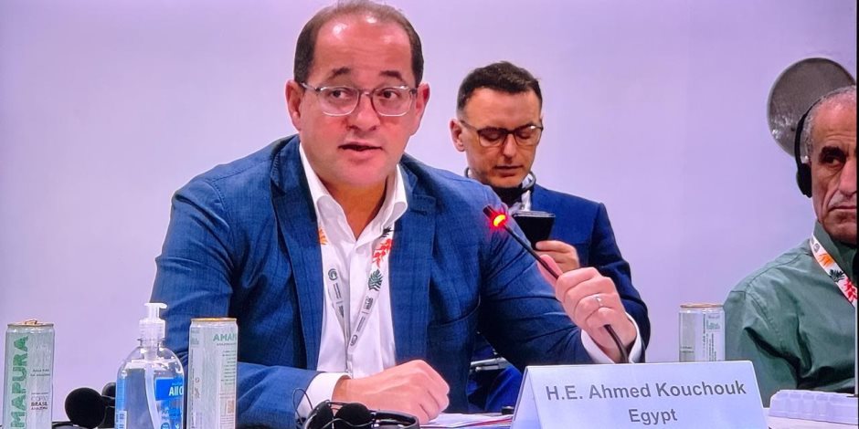 وزير المالية في جلسة تمويل المناخ بالبرازيل: دعوة لتعزيز دور المؤسسات الدولية في التمويل الأخضر لدعم التنمية المستدامة بالدول النامية