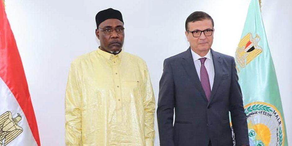 مصر وتشاد تبحثان تعزيز الاستثمار المشترك في الثروة الحيوانية