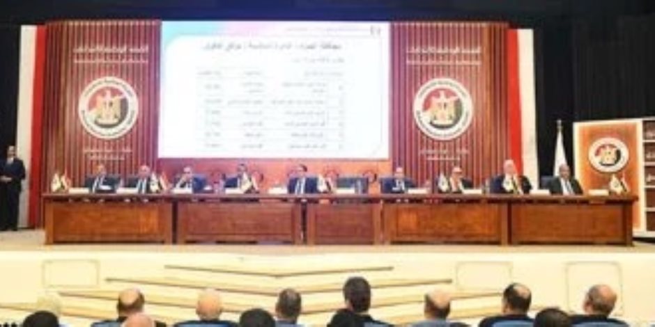 الجدول الزمنى الجديد لانتخابات مجلس النواب بـ 19 دائرة ملغاة نتائجها