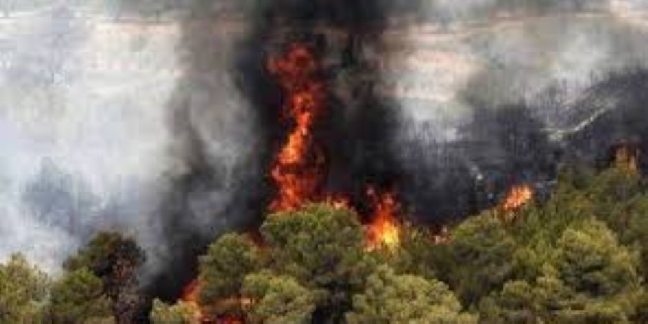 حرائق غابات الهيركانيا تهدد تراثاً عمره 50 مليون عام… وإيران تطلب دعماً دولياً عاجلاً