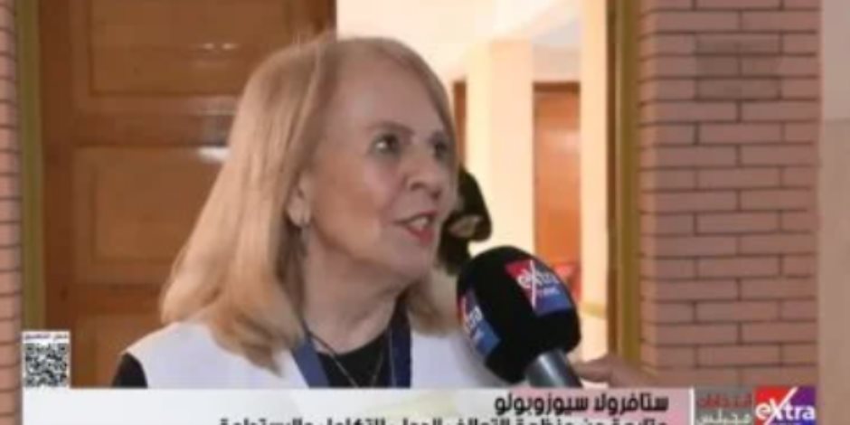 مراقبة دولية: انتخابات النواب منظمة ولم نرصد أى مخالفات بالسويس