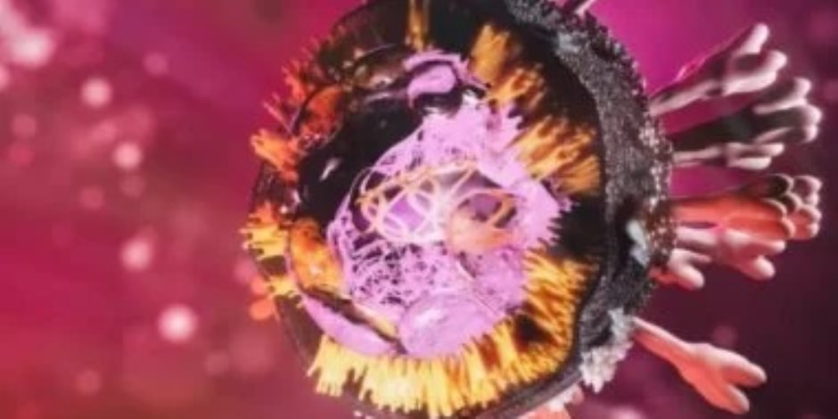 كيف تنتقل عدوى فيروس ماربورغ.؟ وطرق الوقاية