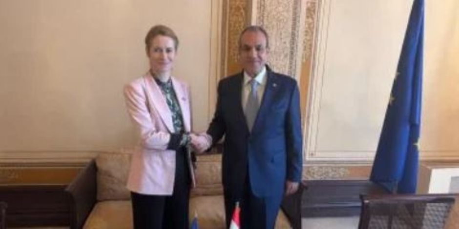 وزير الخارجية يجدد التأكيد على حل الدولتين ووحدة الأراضي الفلسطينية