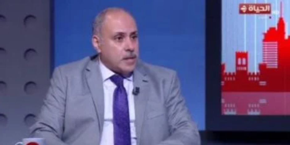 أستاذ علوم سياسية: الرئيس السيسي أعطى درسًا شاملًا لكل أطراف العملية الانتخابية