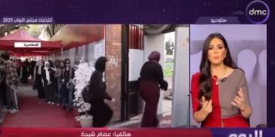 عصام شيحة: تدخل الدولة بحسم أعاد هيبة «الصندوق»