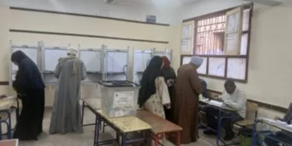 مراسل القاهرة الإخبارية: إقبال إيجابى فى الساعات الأخيرة بدوائر الجيزة