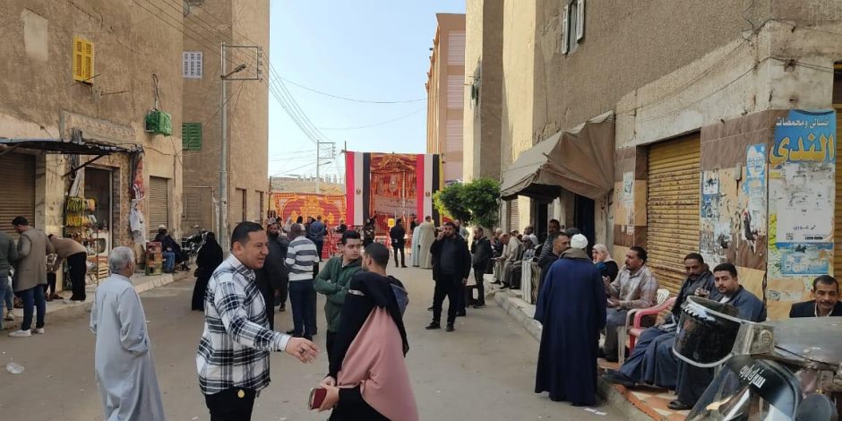 إقبال ملحوظ في دوائر البحيرة.. وانتظام العملية الانتخابية بأبوحمص وإدكو