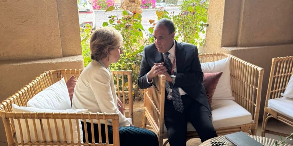 وزير الخارجية يلتقي مع مستشارة الرئيس الفرنسي لشئون الشرق الأوسط 