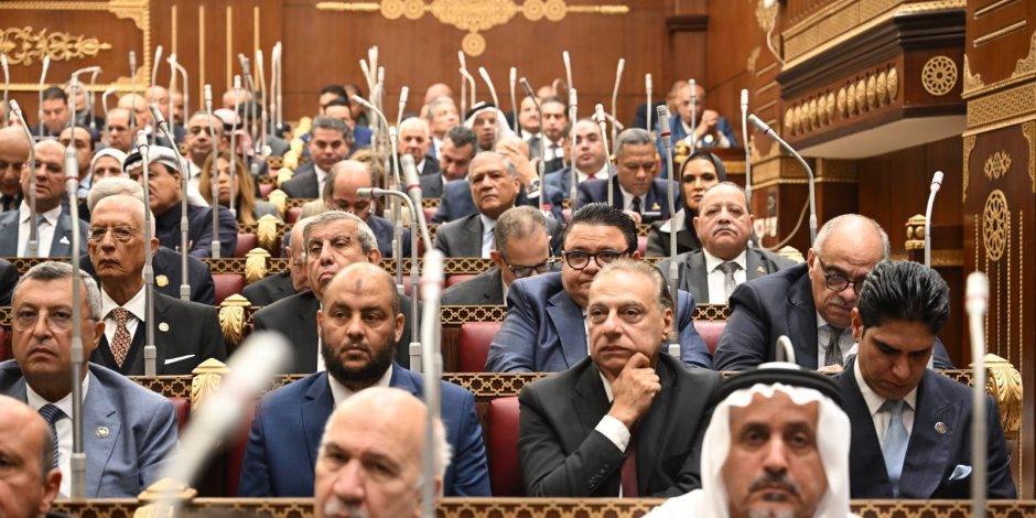 دراسة برلمانية تحت قبه الشيوخ تطالب بمنصة موحدة لبيانات الإعاقة في مصر