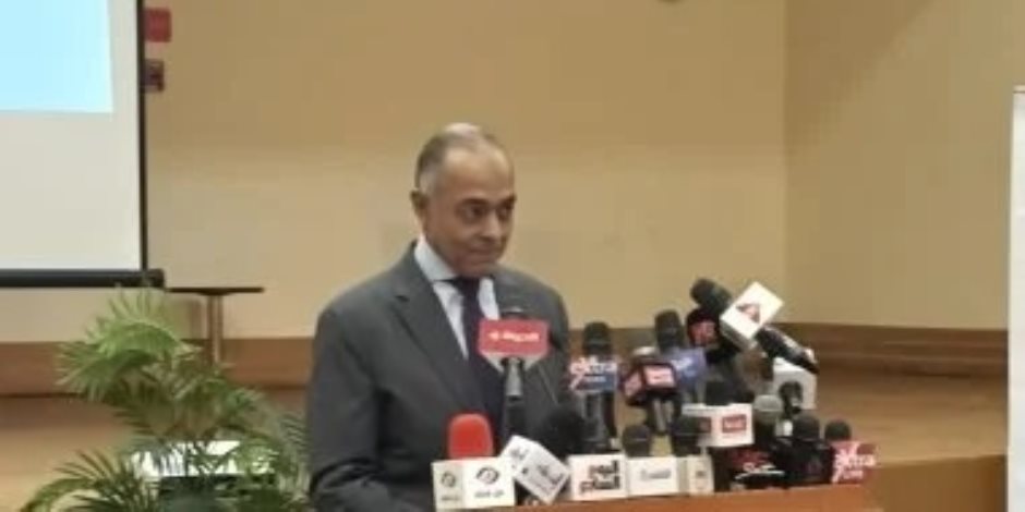 القاضي أحمد بندارى: إعلان اللجان العامة بمثابة حصر عددى للأصوات والنتيجة الرسمية 10 يناير