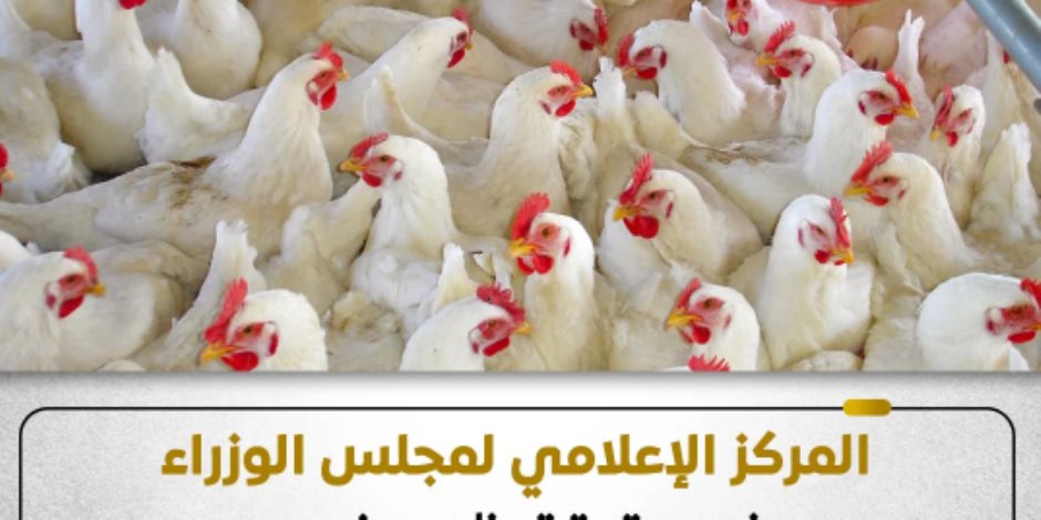 مجلس الوزراء يكشف حقيقة ظهور فيروس أنفلونزا الطيور بالمزارع المصرية