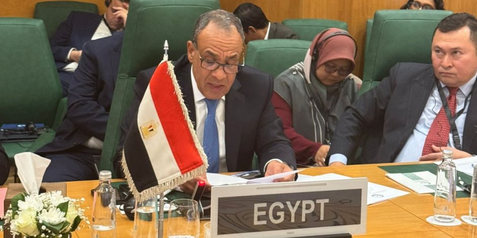 وزير الخارجية يلقي كلمة مصر أمام الدورة الاستثنائية لمجلس وزراء خارجية منظمة التعاون الإسلامي ويؤكد دعم سيادة الأراضي الصومالية وحقوق فلسطين 