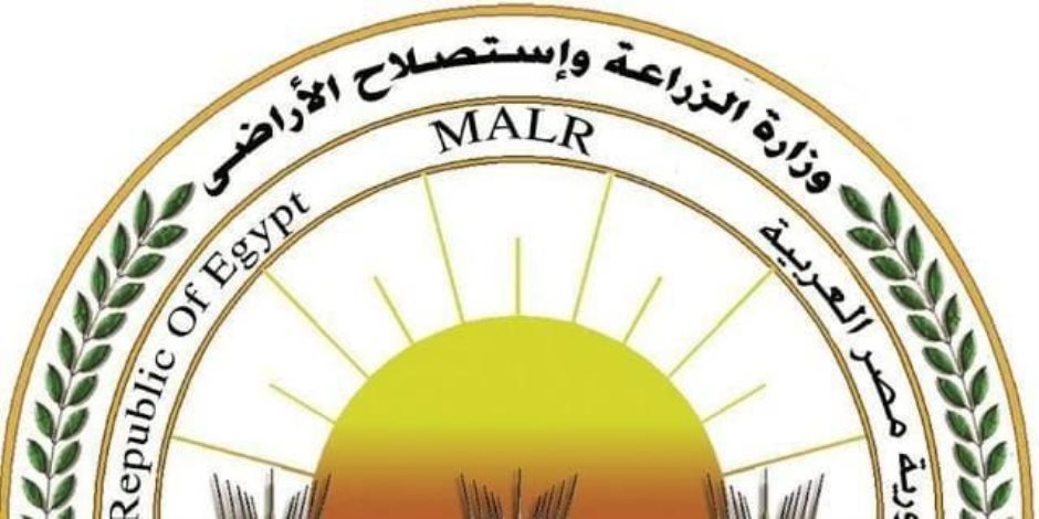  "الزراعة" تعلن فتح السوق الأوزبكي أمام صادرات مصر من الفراولة الطازجة