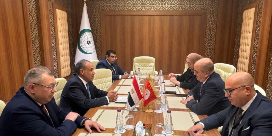 وزير الخارجية يبحث مع نظيره التونسي تطورات الأوضاع في ليبيا