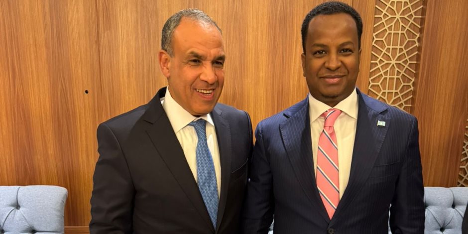 دعماً لوحدة وسيادة الصومال.. وزير الخارجية يلتقي نظيره الصومالي
