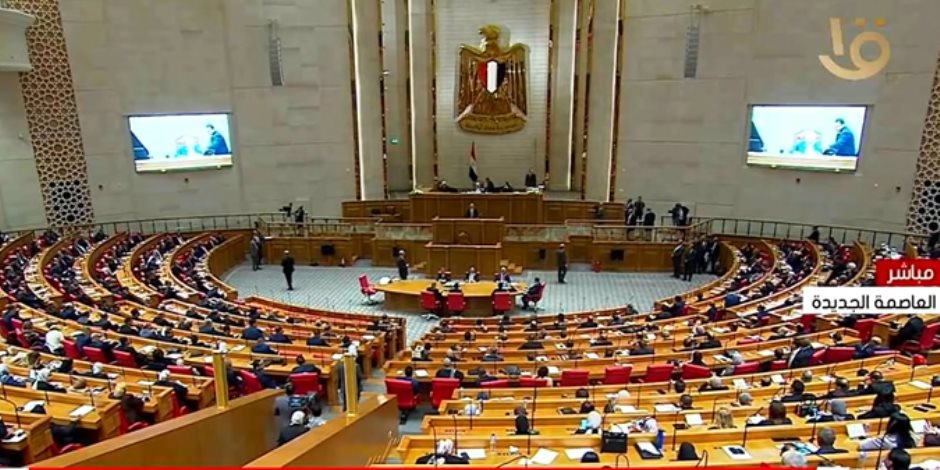 خلال لجانه المختصة .. النواب يبدأ حوارا مجتمعيا مع متخصصين حول ضوابط استخدام الأطفال مواقع التواصل