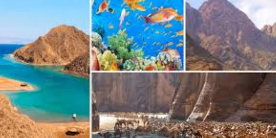 تفاصيل تطبيق منظومة ذكية لإدارة المخلفات بمحميات مصر