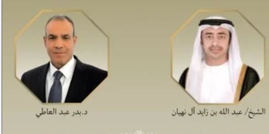 وزير الخارجية يبحث مع نظيره الإماراتي عددًا من القضايا الإقليمية