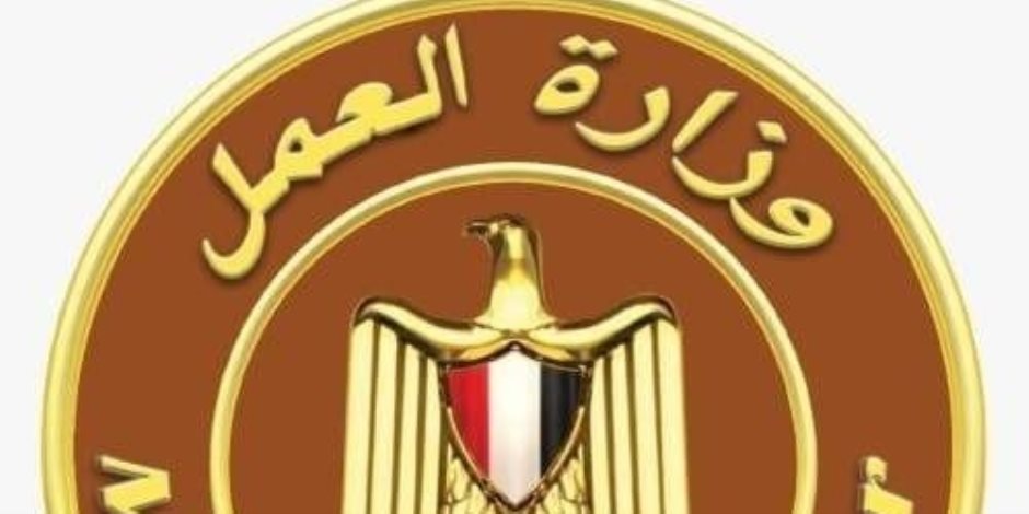 وزير العمل يدعو "صاحب الفيديو المتداول" للتوجّه فورًا إلى مديرية العمل بكفر الشيخ لبحث مشكلته بشكل عاجل