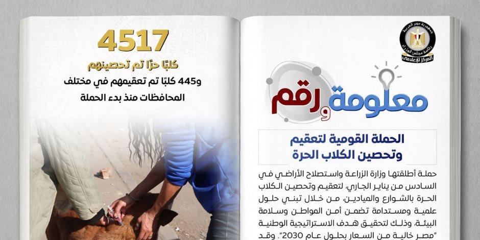 12 محافظةً وفرت مساحات لإيواء الكلاب الضالة..  تحصين 4517 كلباً حراً وتعقيم 445 آخرين