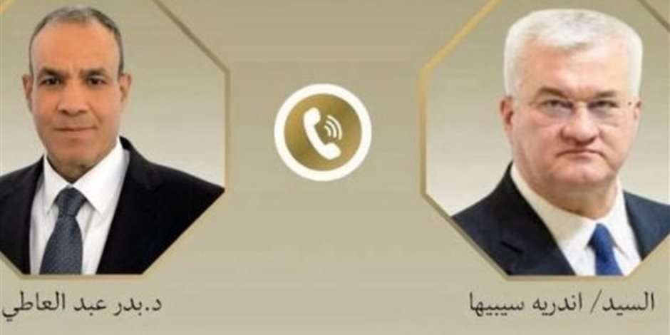 وزير الخارجية يبحث مع نظيره الأوكراني العلاقات الثنائية وتطورات أزمة أوكرانيا