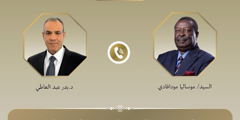 اتصال هاتفي بين وزير الخارجية ونظيره الكيني
