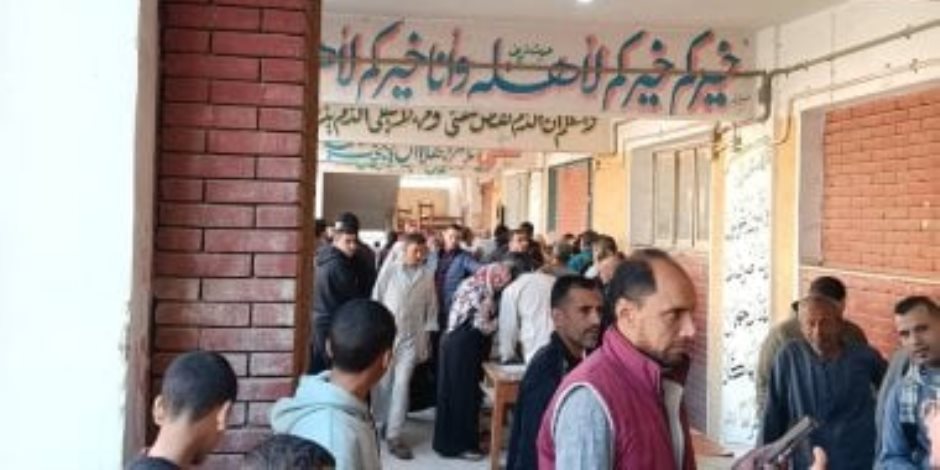 الهيئة الوطنية للانتخابات تستأنف على حكم بطلان انتخابات دائرة منيا القمح