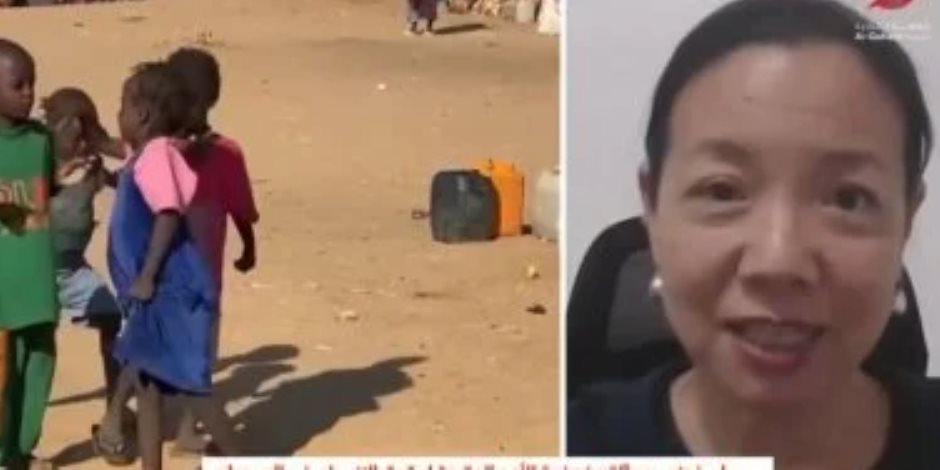 ممثلة الأمم المتحدة بالسودان: مصر تلعب دورا مهما فى محاولة إيجاد حلول للنزاع