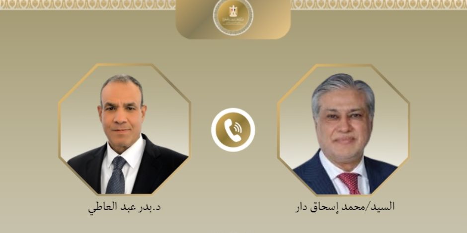 وزيرا الخارجية المصري والباكستاني يبحثان المستجدات في غزة والتطورات الإقليمية