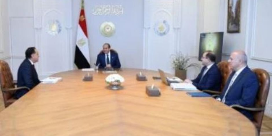 وزير المالية يستعرض أمام الرئيس السيسي تطورات المفاوضات مع صندوق النقد